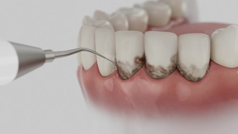 Reliable Dental contractor in Wake County County, NC by Dentist Open Now